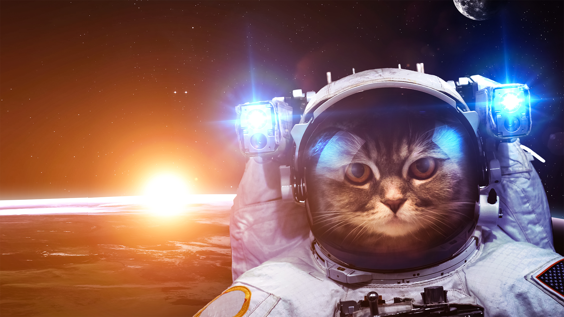How long can people (and animals) survive in outer space?