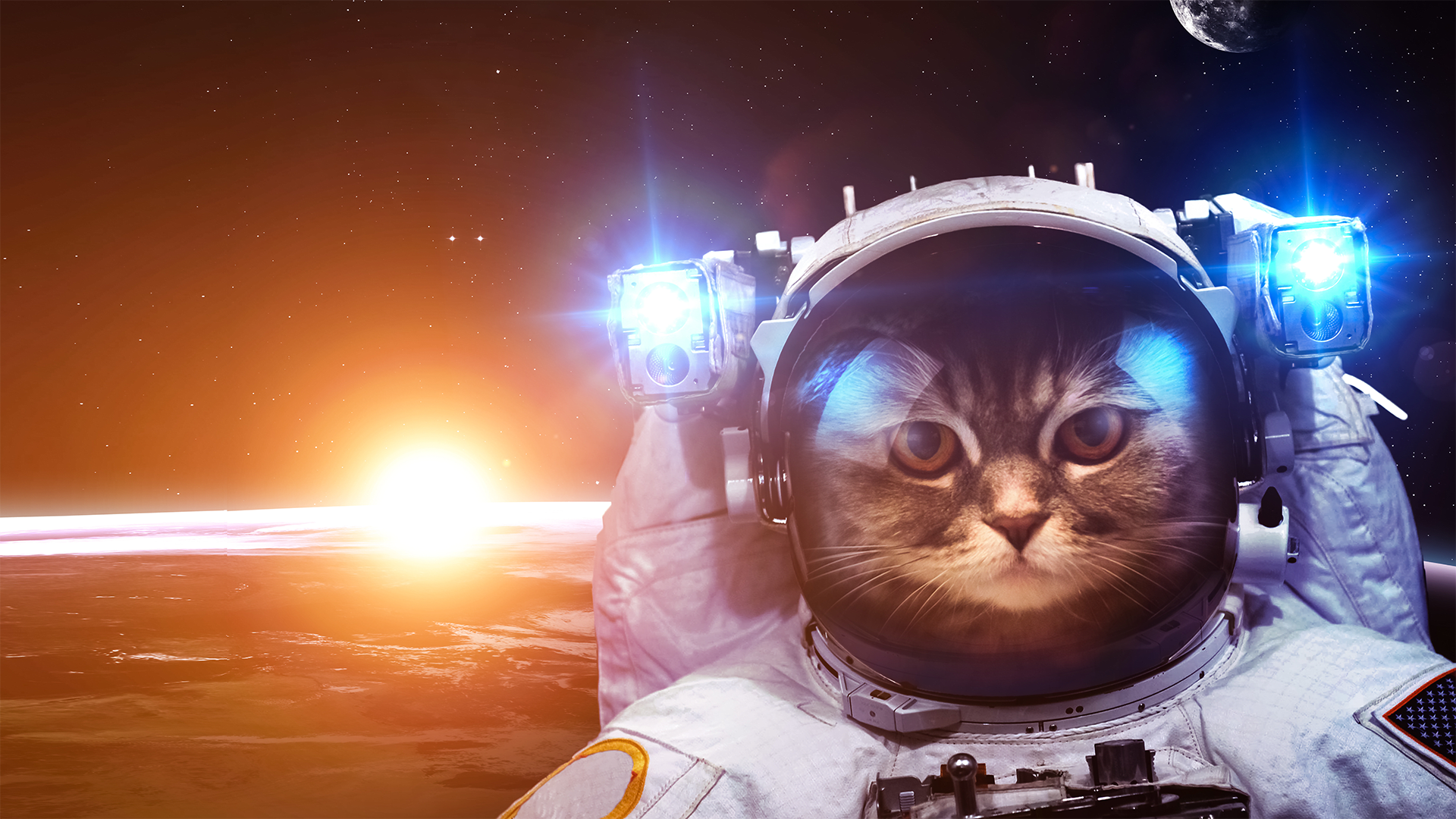 How Long Can People And Animals Survive In Outer Space