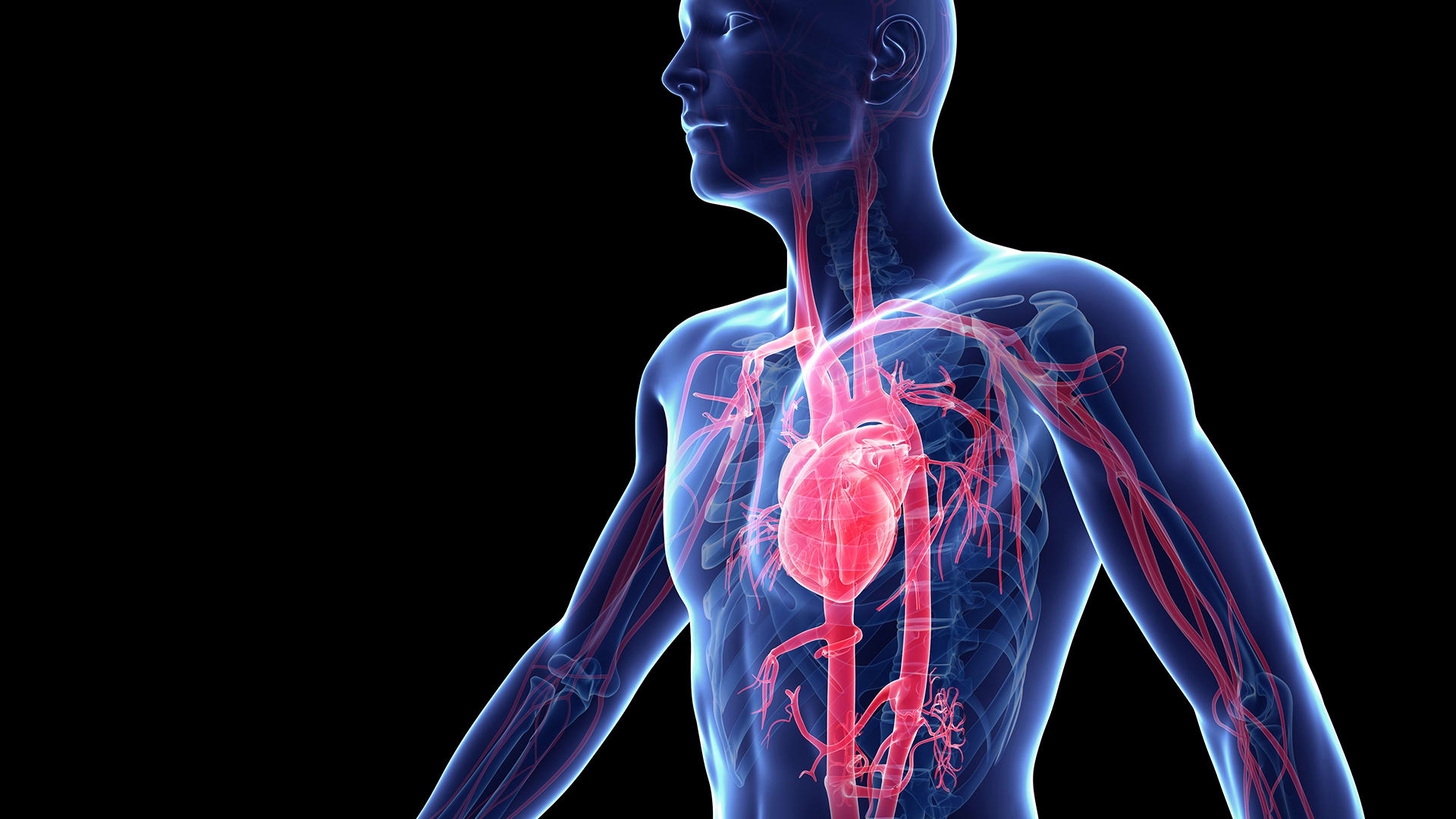 How To Increase Heart Pumping Capacity