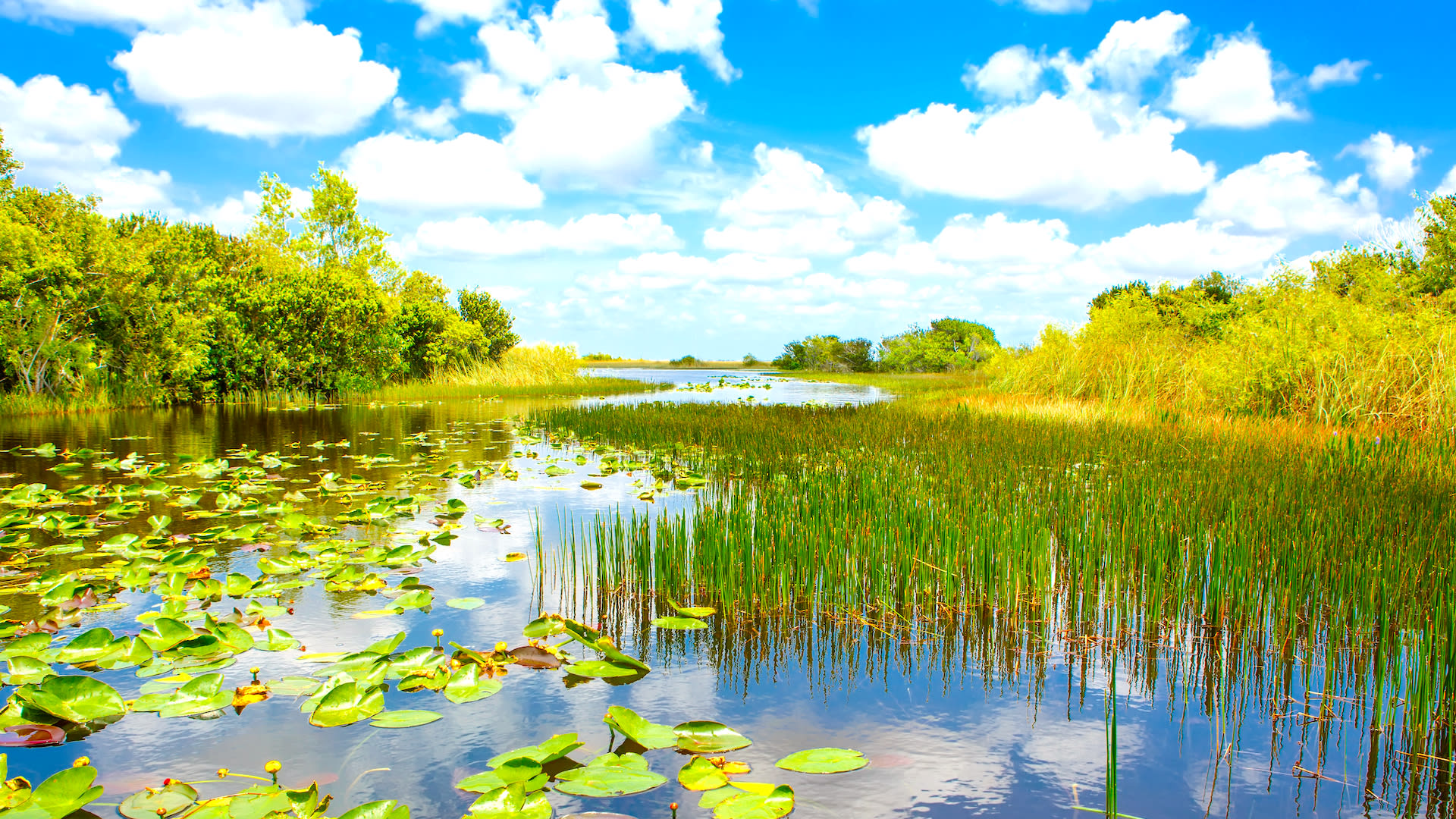 Everglades Adventure