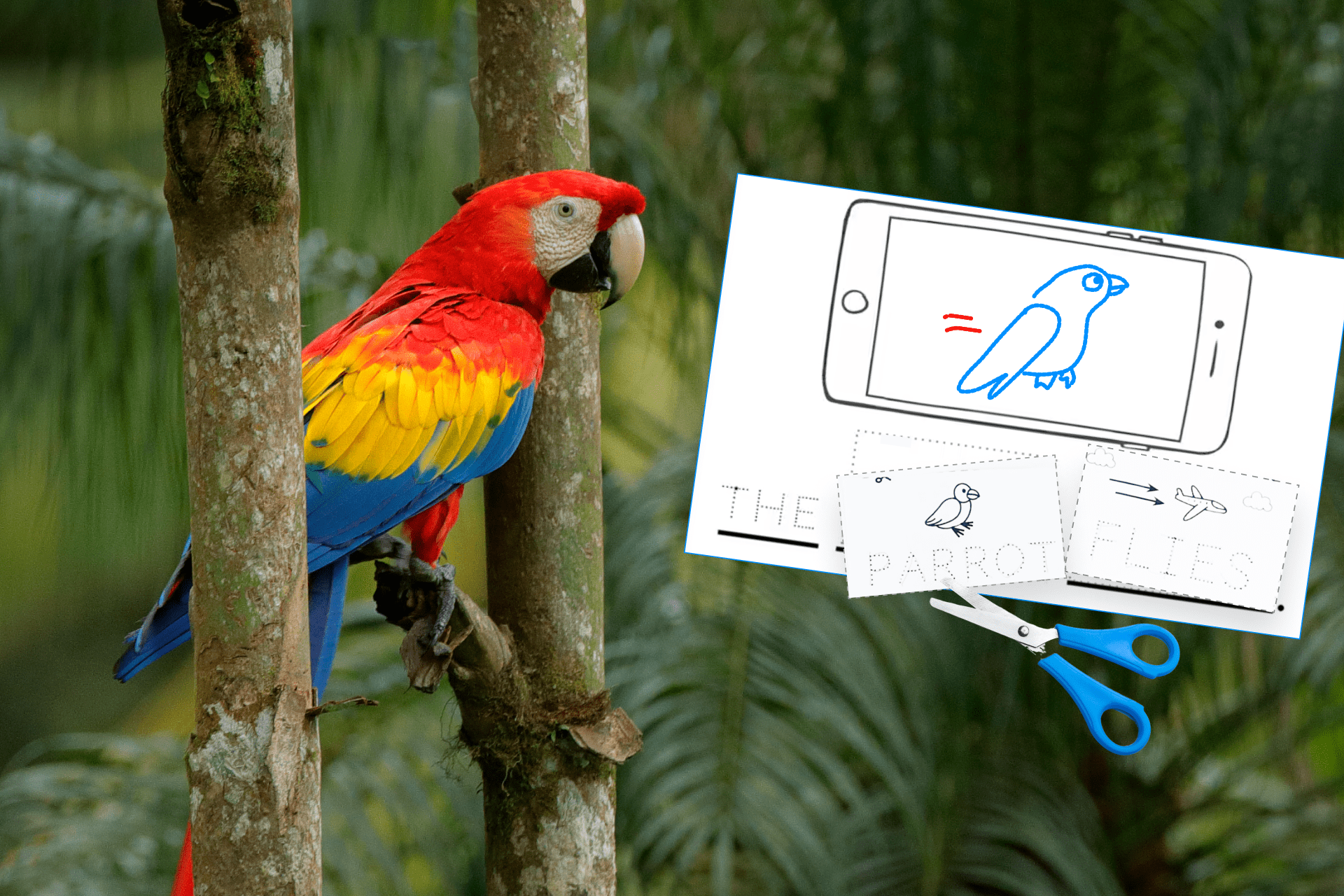 Lesson 8 image