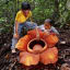 Plant%2520adventures%2520medium
