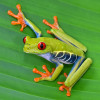 Unit%2520pin%2520 %2520shutterstock 223329445%2520copy