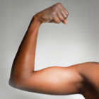 Why do your biceps bulge?
