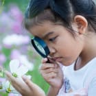 How do scientists know so much?