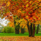 Why do leaves change color in the fall?