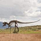 How do we know what dinosaurs looked like?