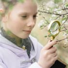How do scientists know so much?
