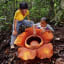 Plant%2520adventures%2520medium