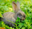 Shutterstock 253839163%2520cropped