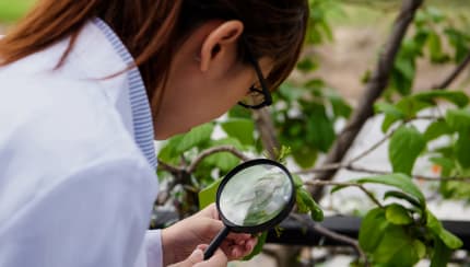How do scientists know so much?