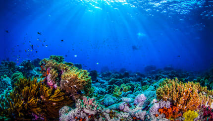 How deep does the ocean go?