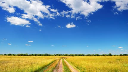 Why is the sky blue?