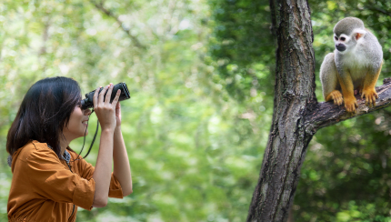 How do scientists learn about wild animals?