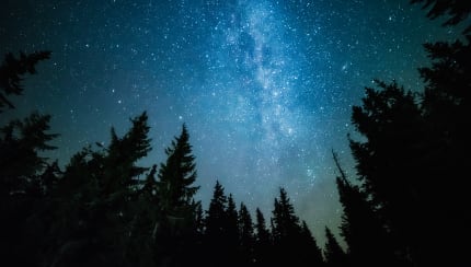 Why do the stars come out at night?
