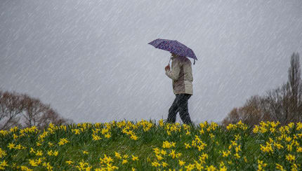 How many different kinds of weather are there?