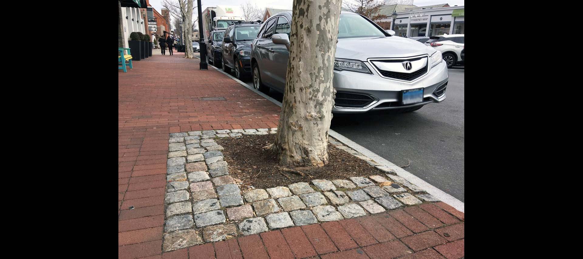 Тротуары около дома. Дерево в тротуаре. Благоустройство деревьев на тротуаре. Тротуары в Китае. Деревянные тротуары Япония.