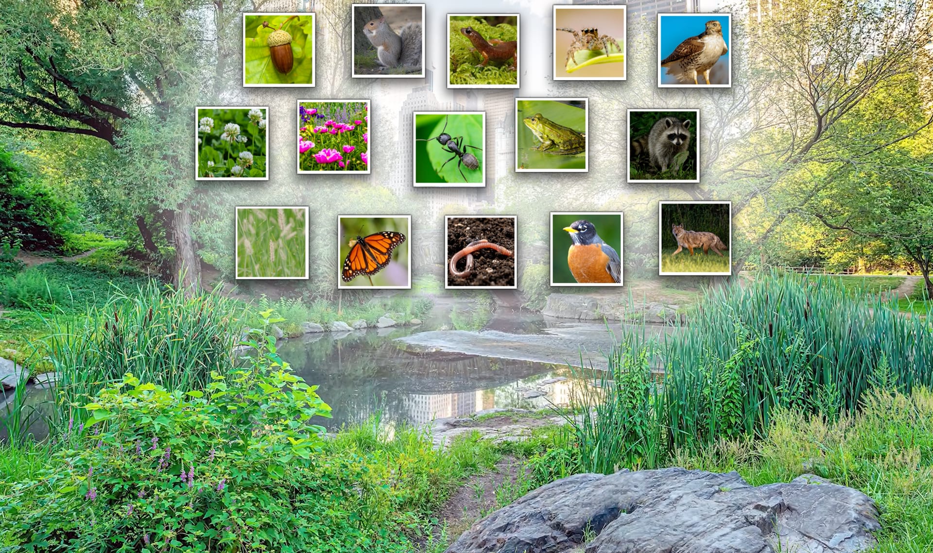 Slide Image