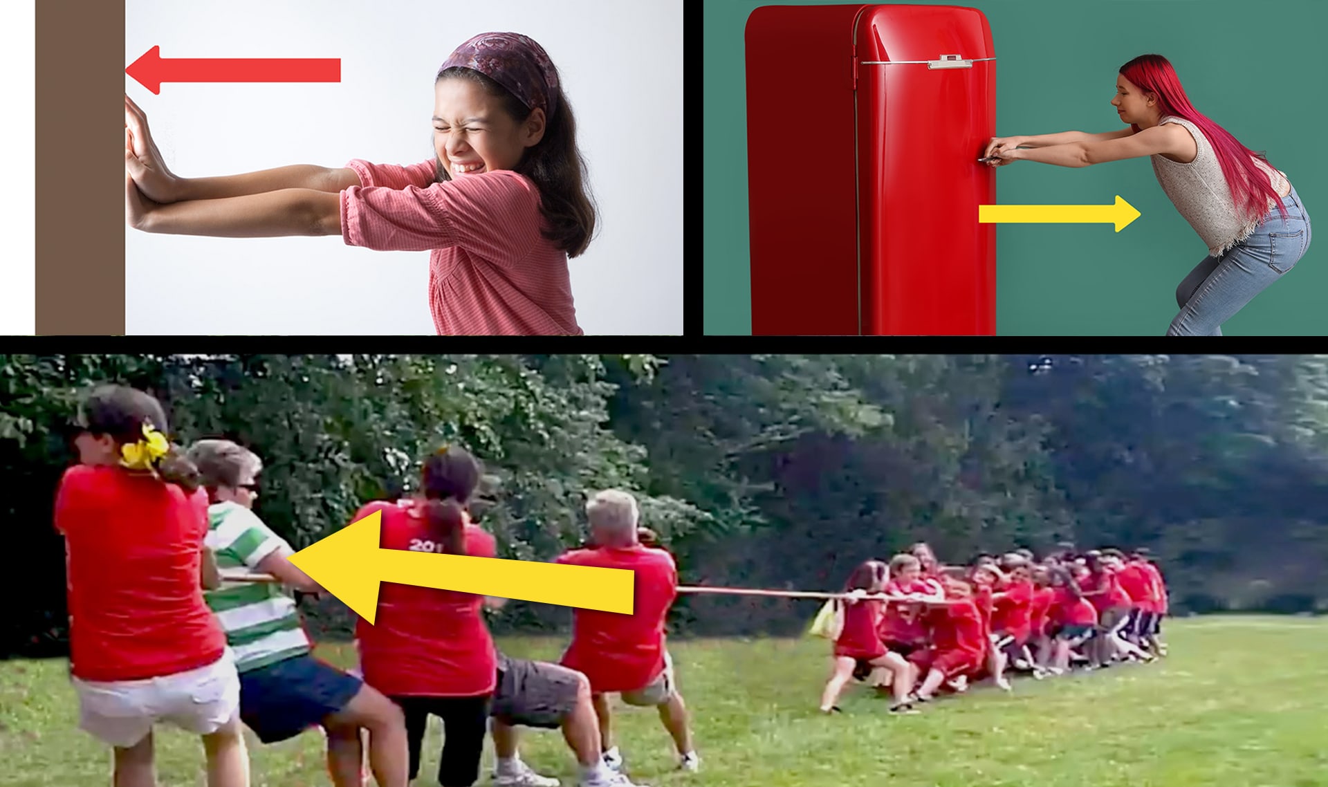 Slide Image