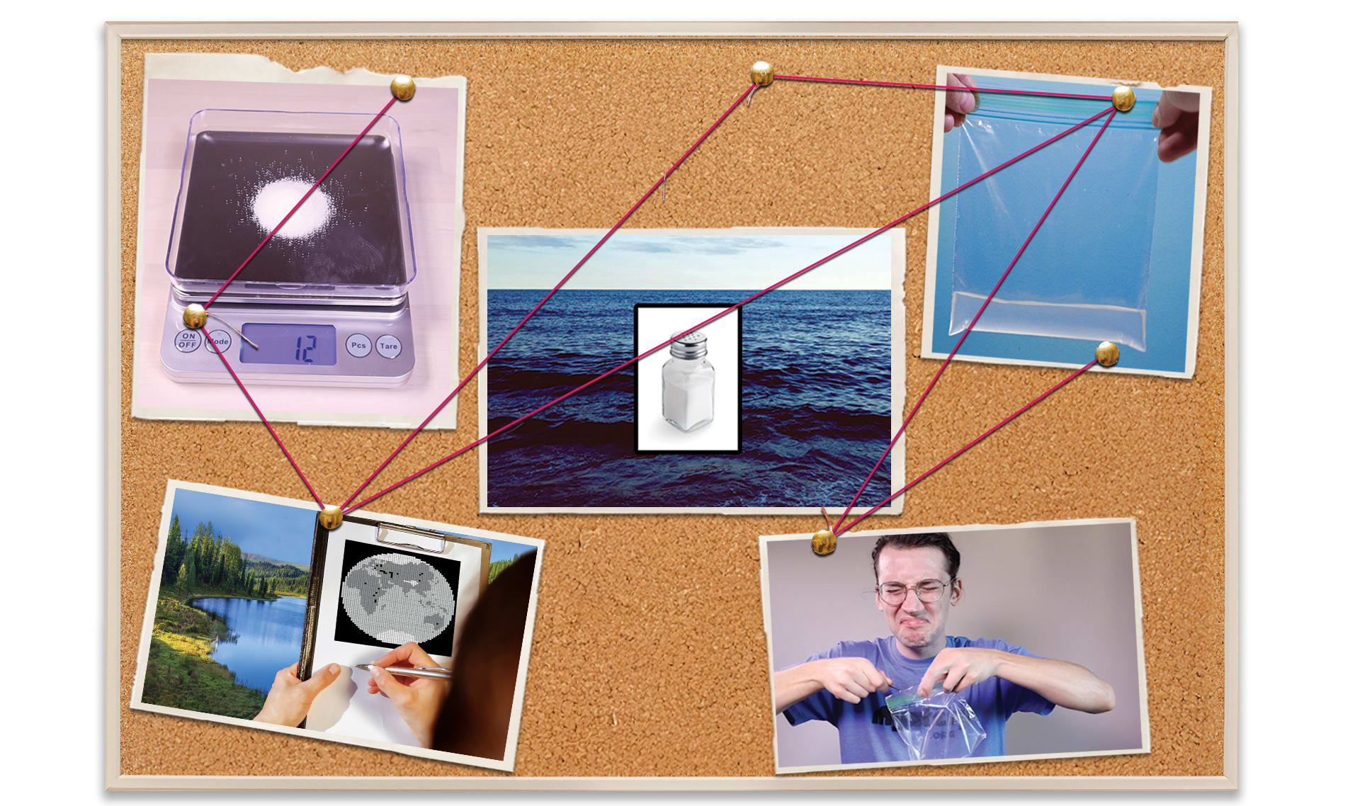Slide Image