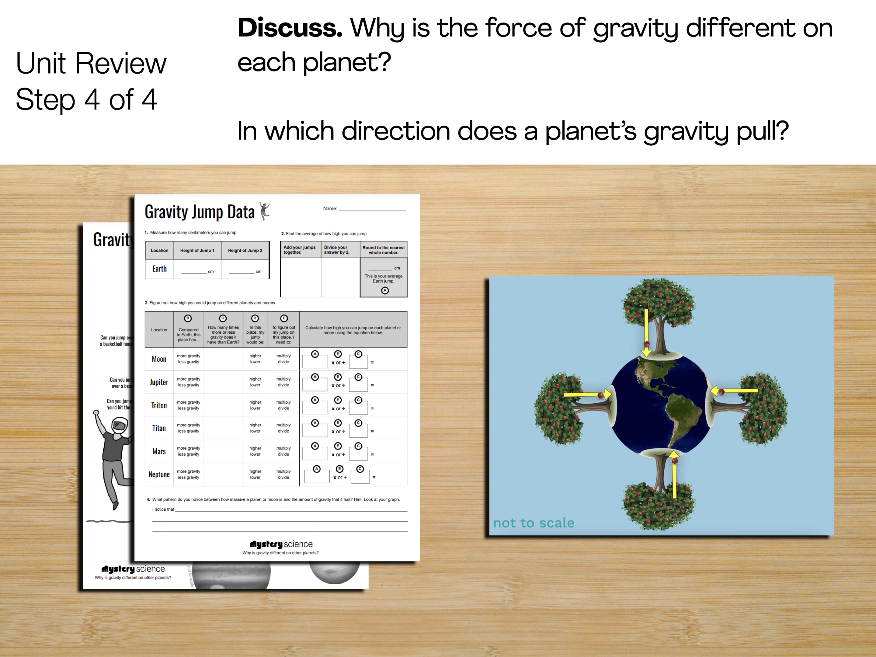 Slide Image