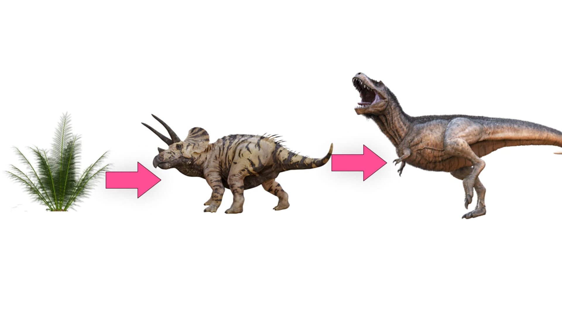 Why are dinosaurs extinct? You asked Google – here's the answer