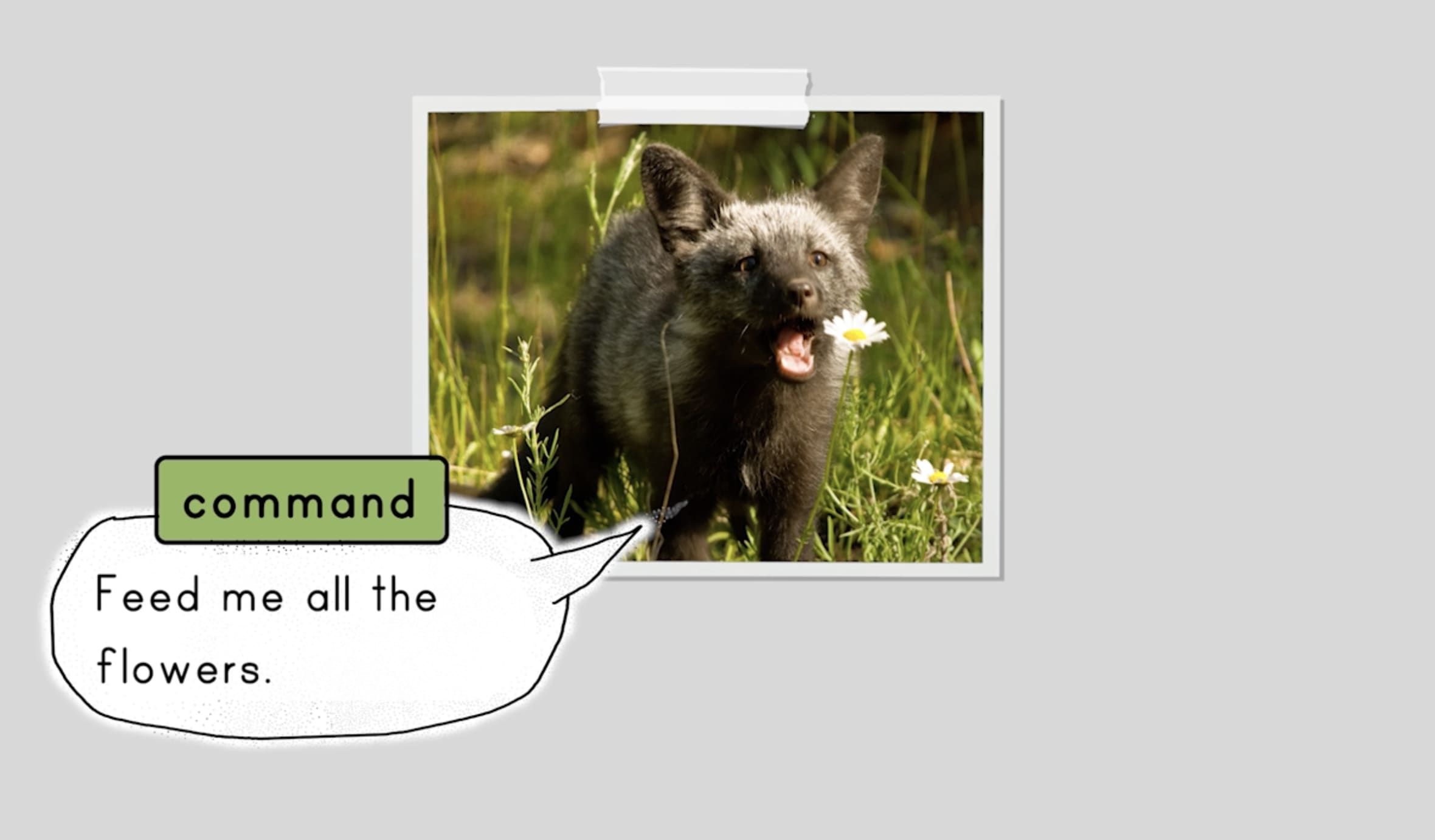 Slide Image