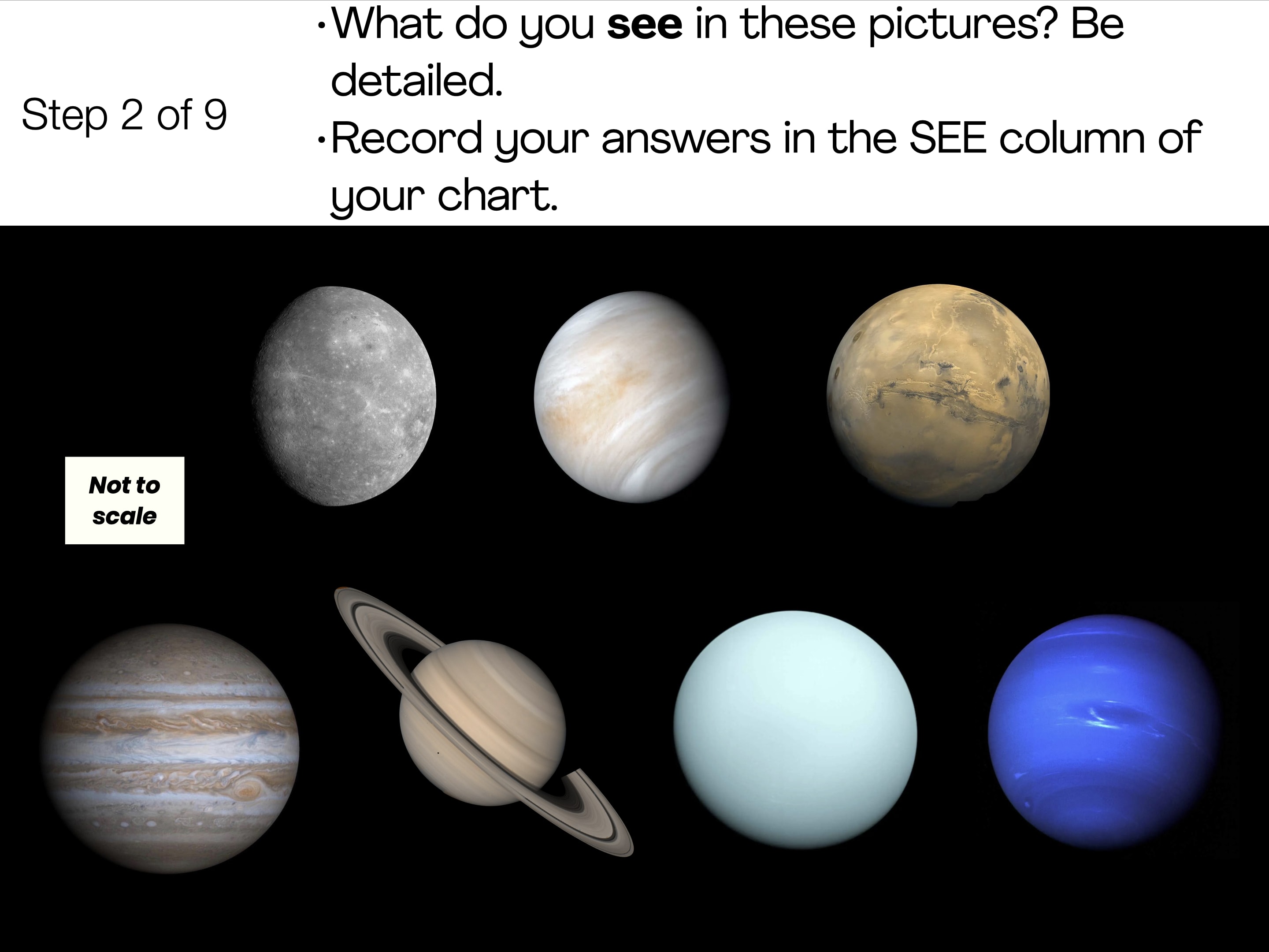 Slide Image