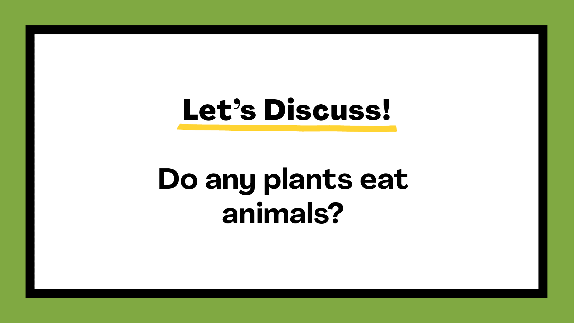 Do any plants eat animals? - Mystery Science