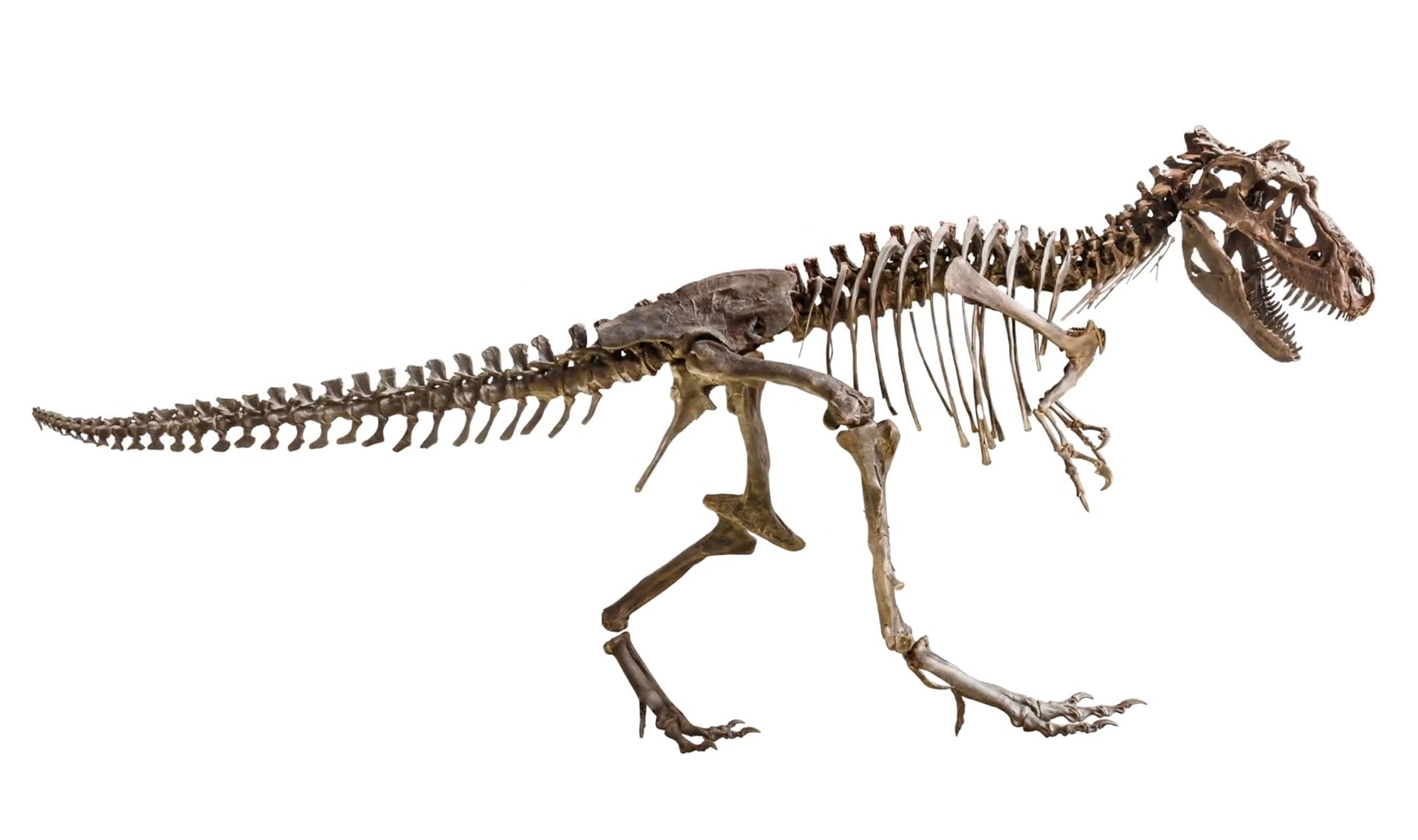 Slide Image