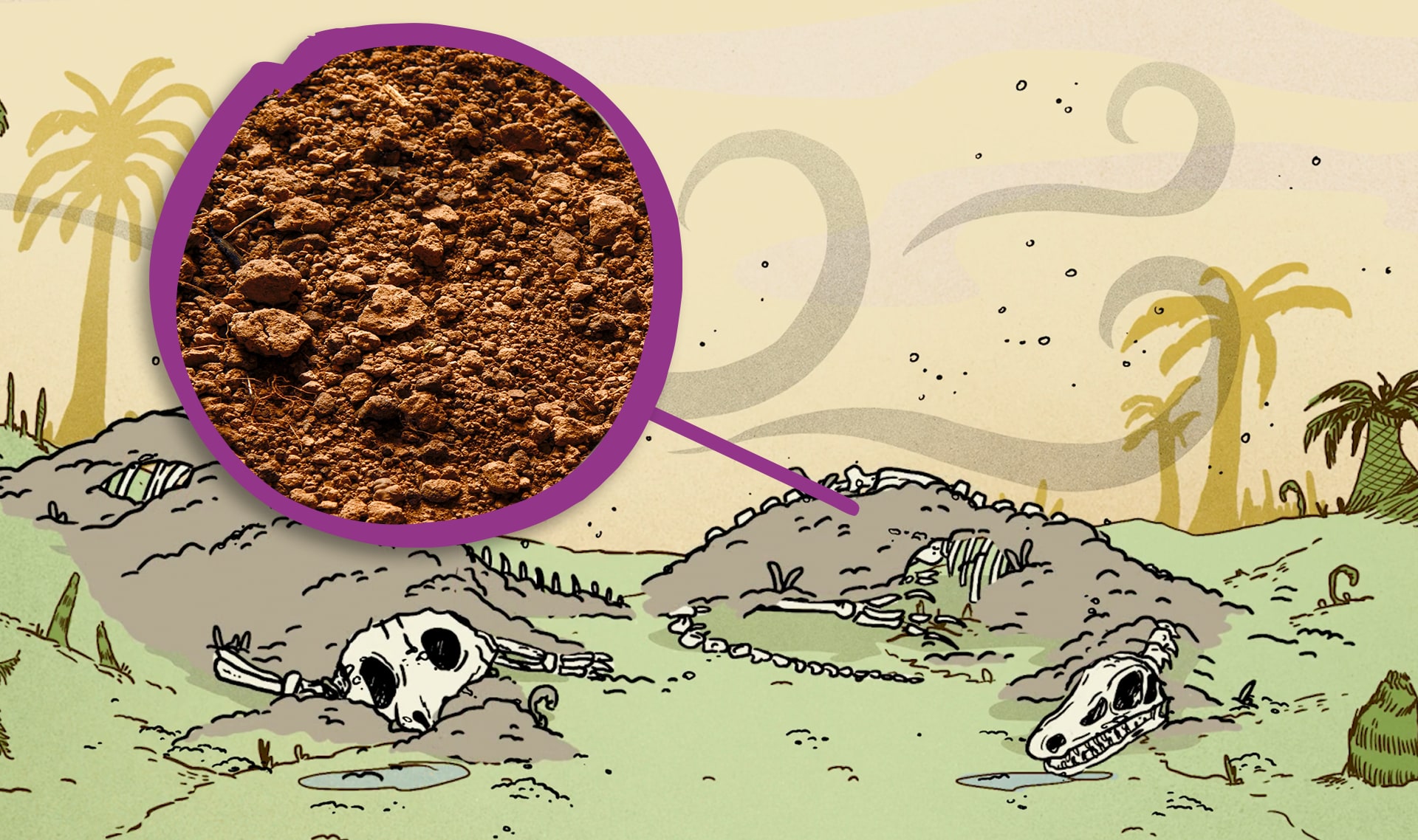 Slide Image