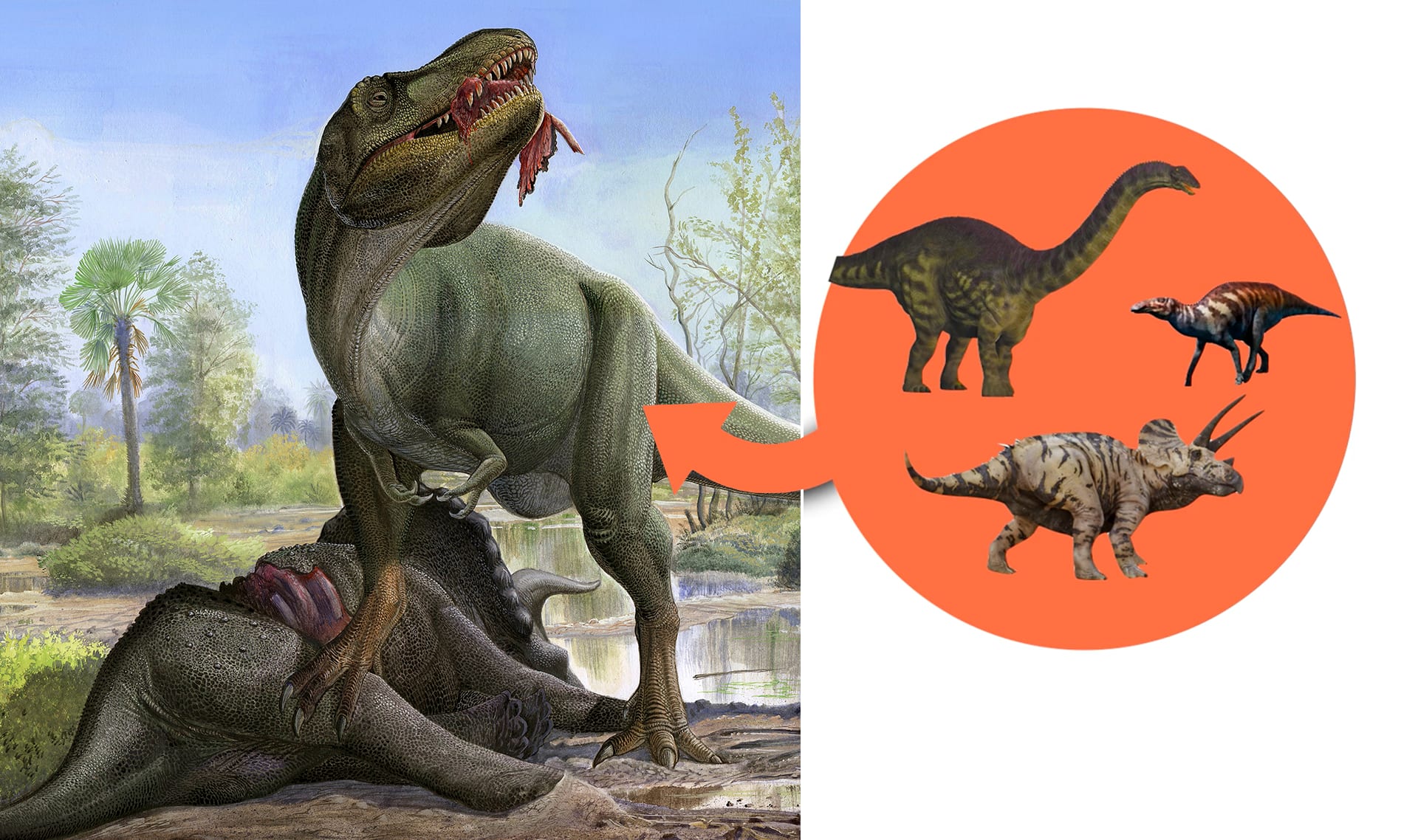 Why are dinosaurs extinct? You asked Google – here's the answer