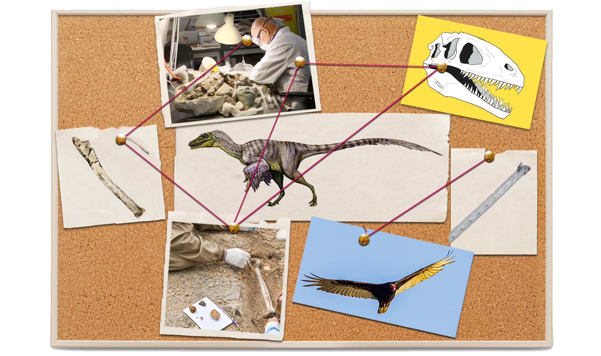 Slide Image