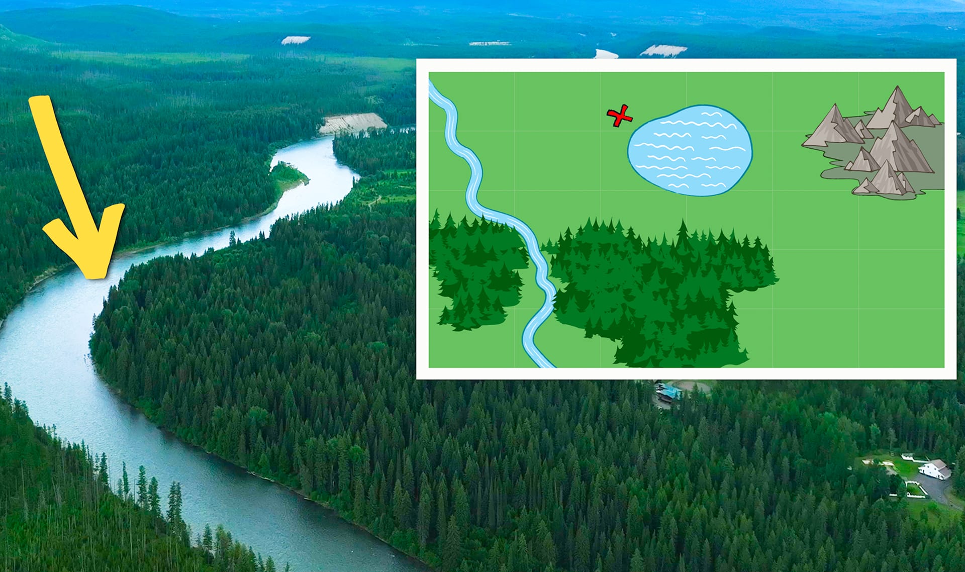 Slide Image