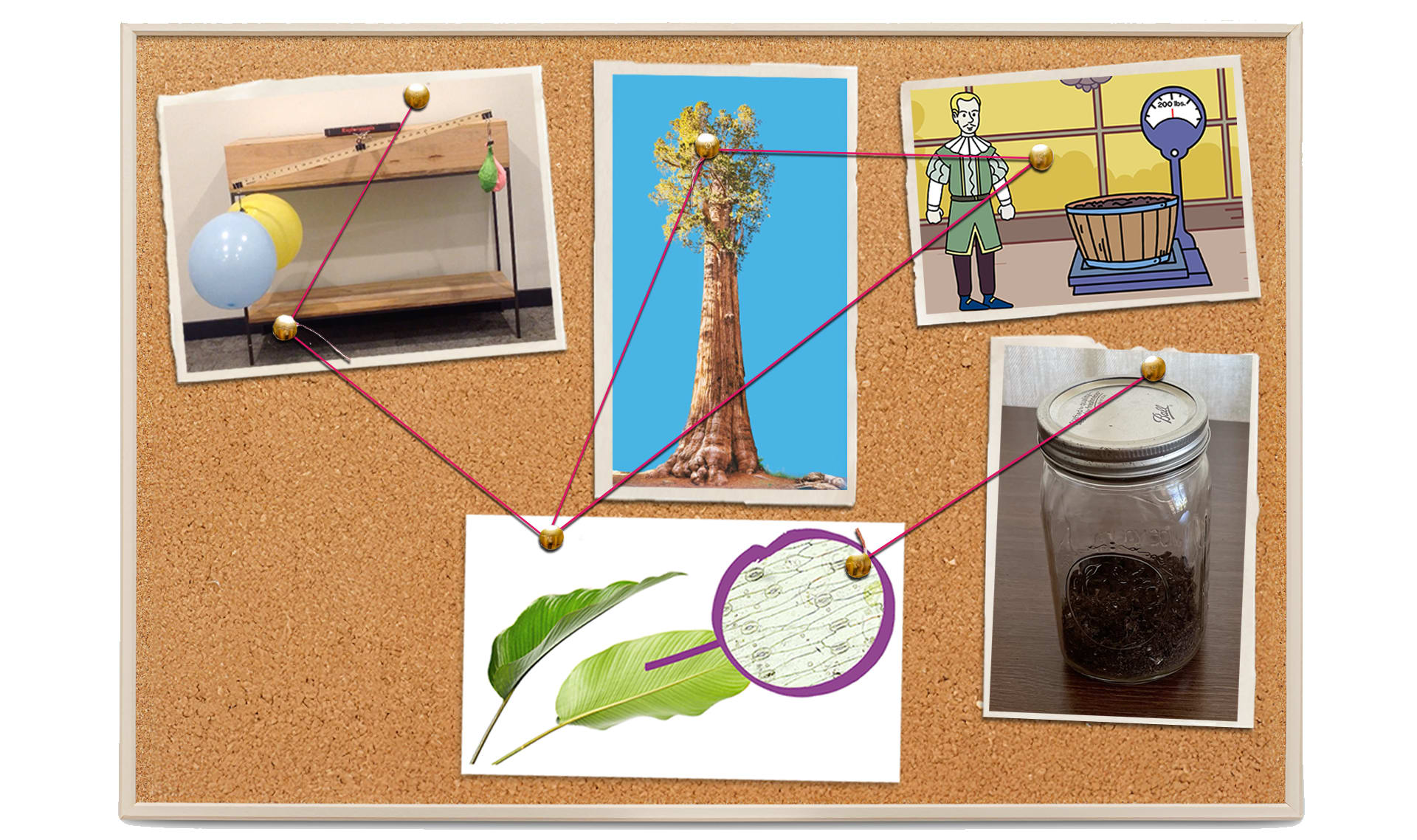 Slide Image