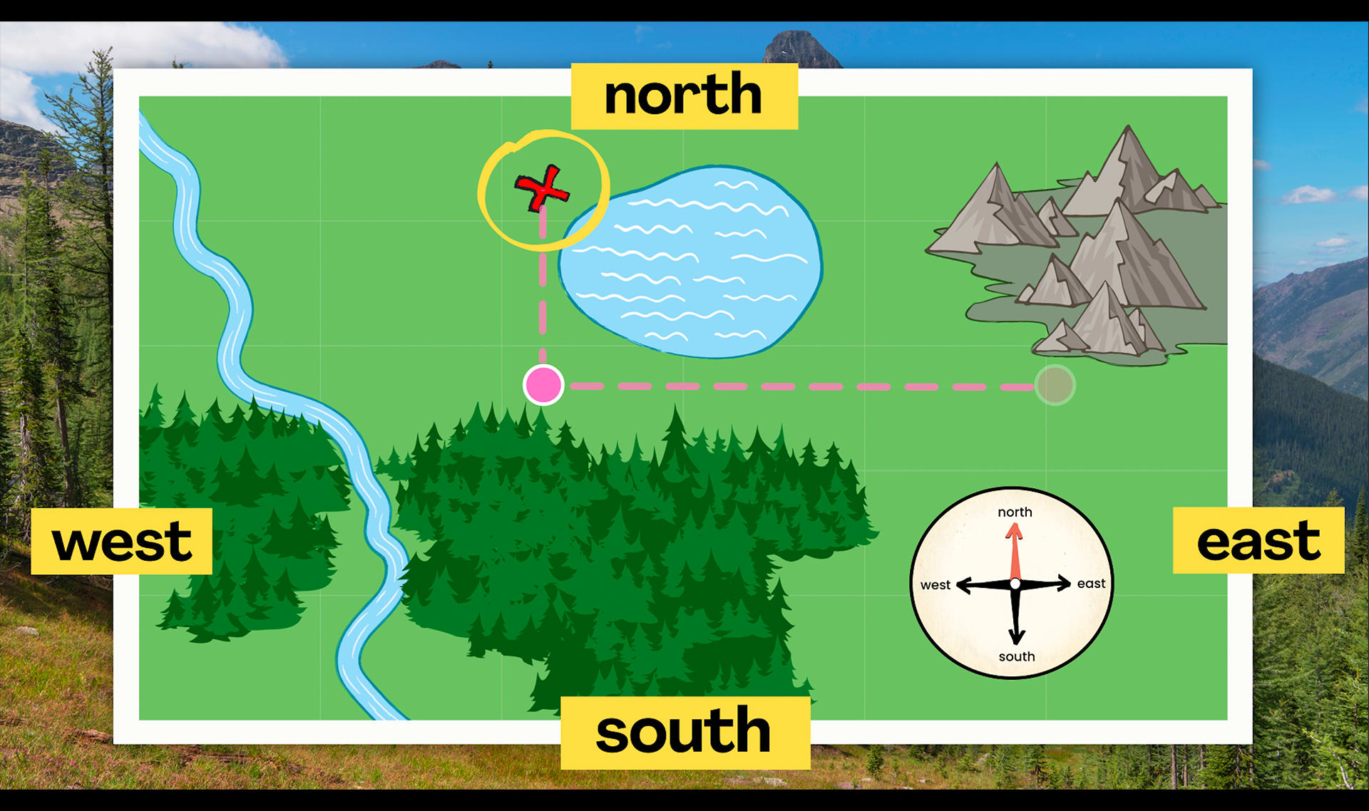 Slide Image
