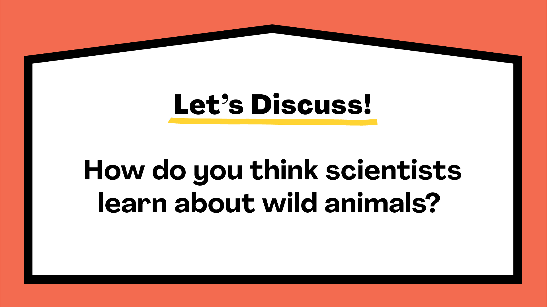 how-do-scientists-learn-about-wild-animals-mystery-doug