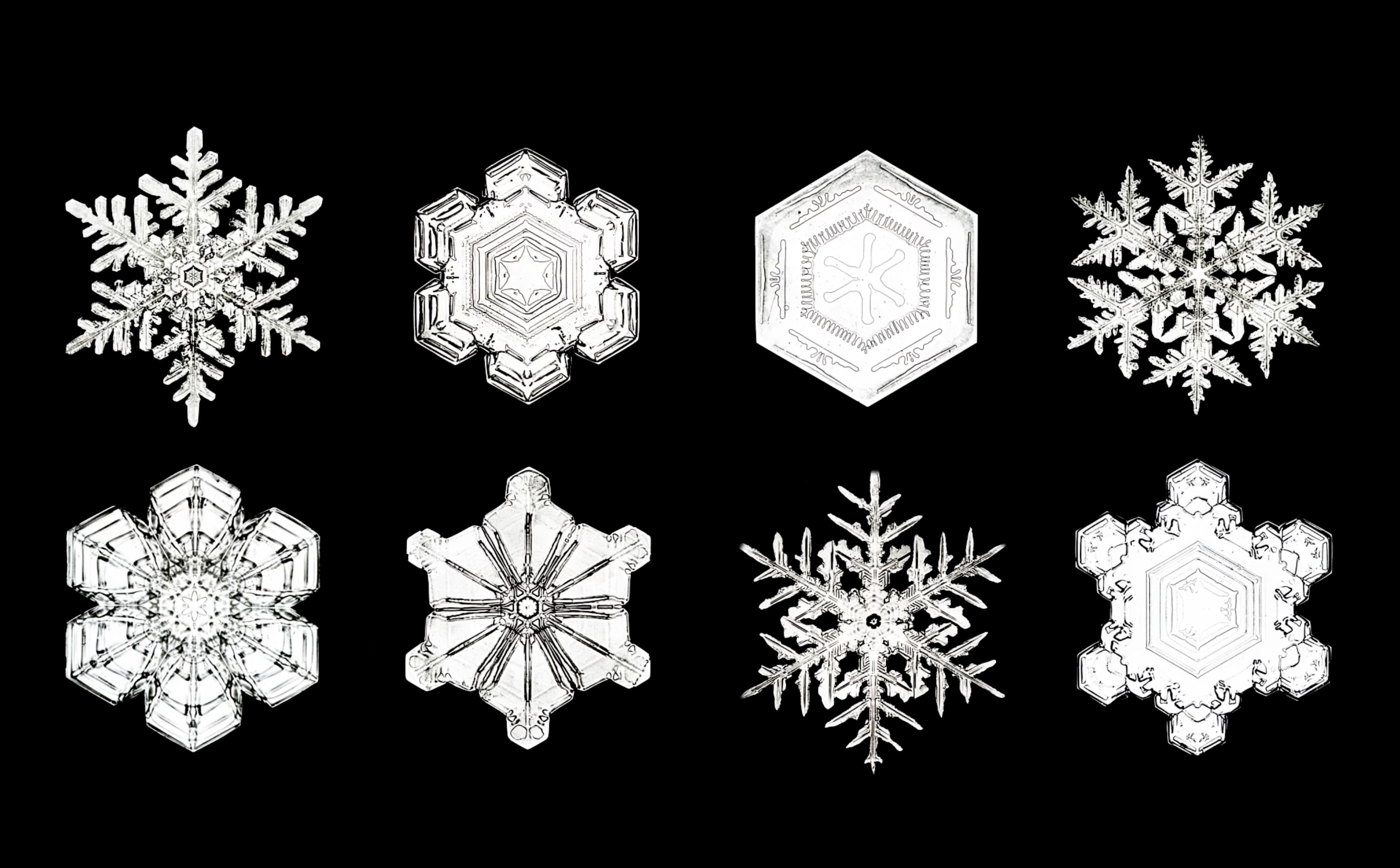 Is every snowflake different?