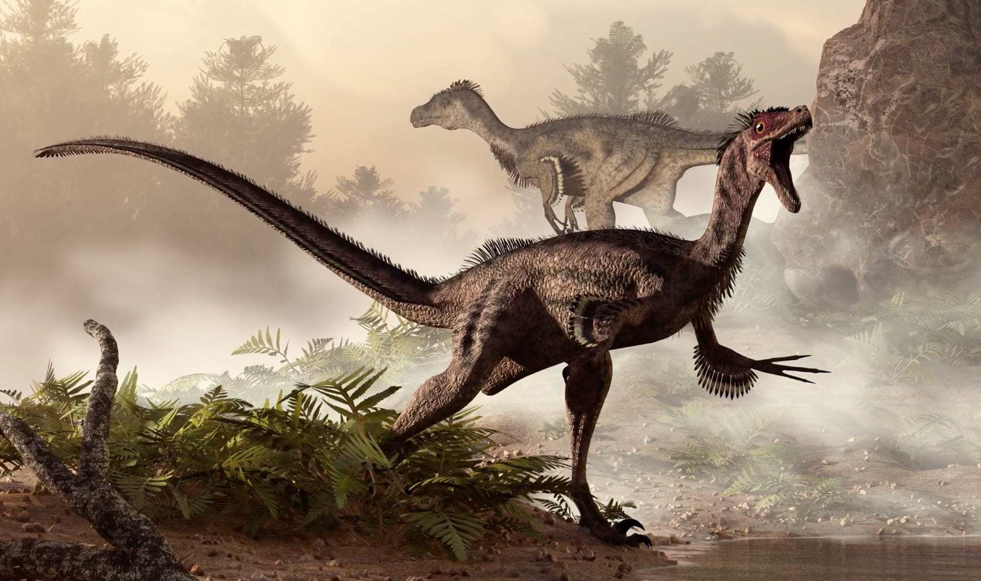 How do we know what dinosaurs looked like?