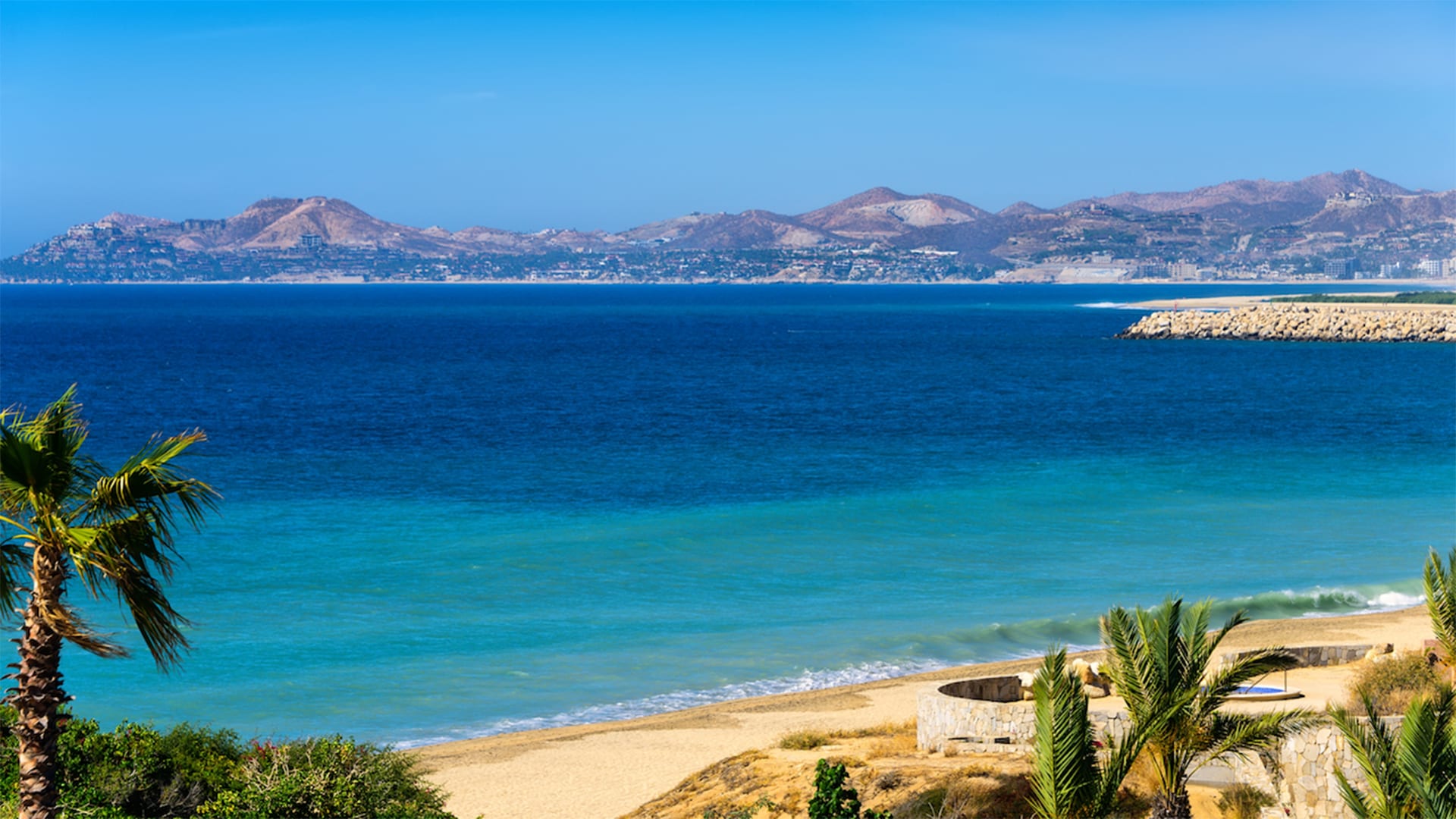 Why do animals come back after going to warm places in winter?