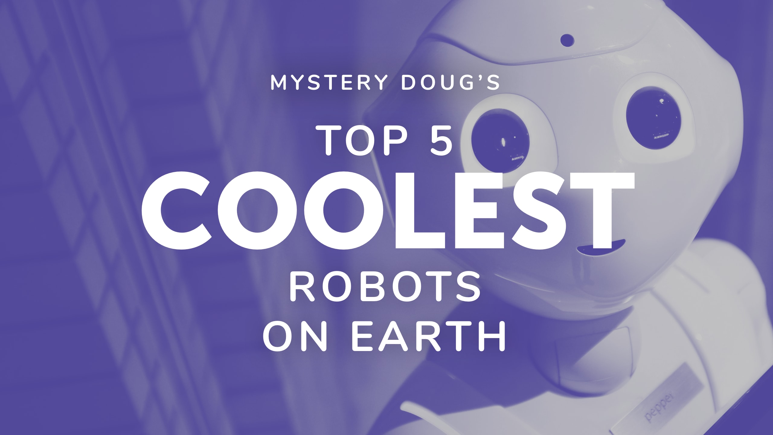 Do people really use robots? - Mystery Doug