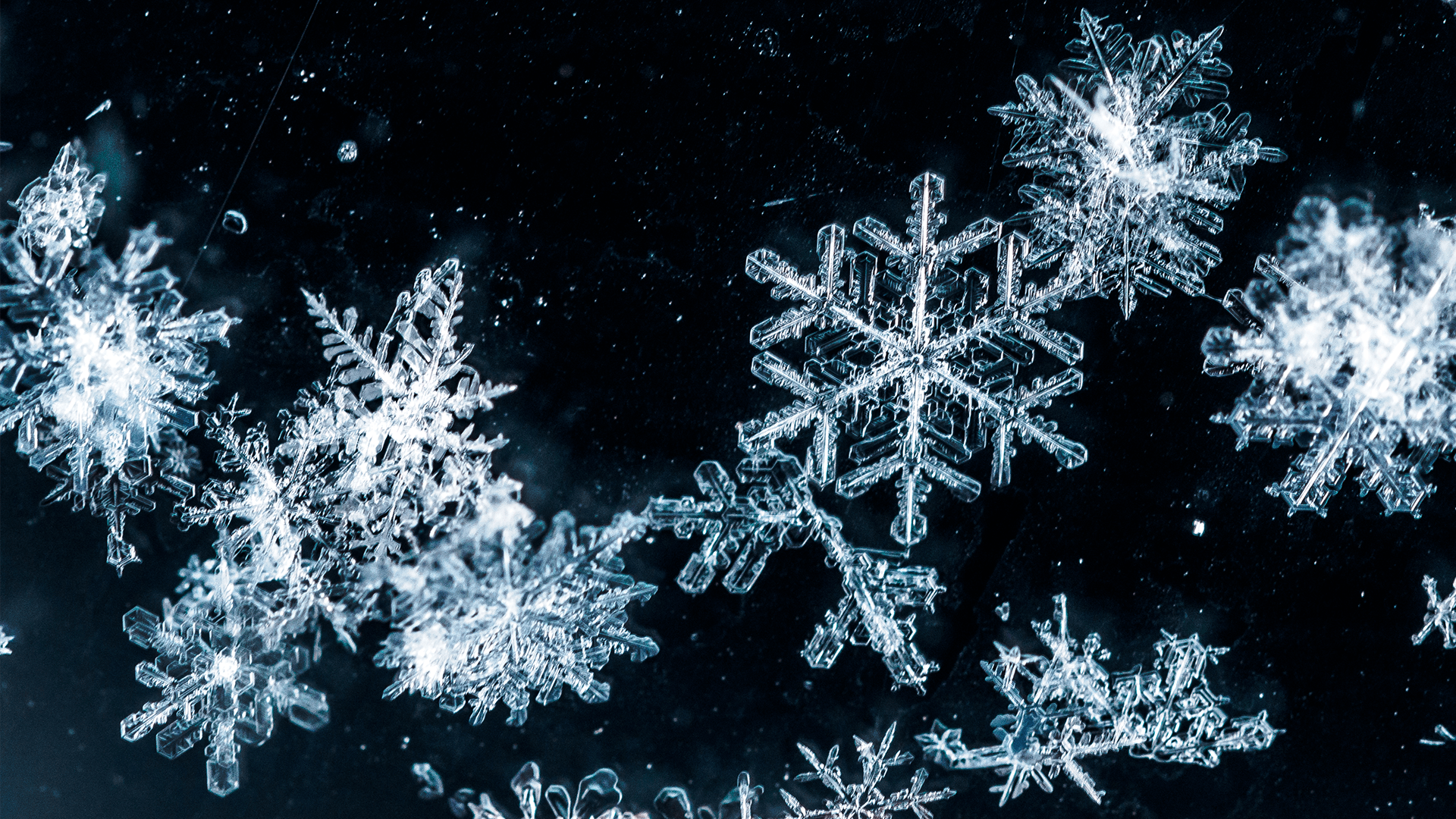 Is every snowflake different?