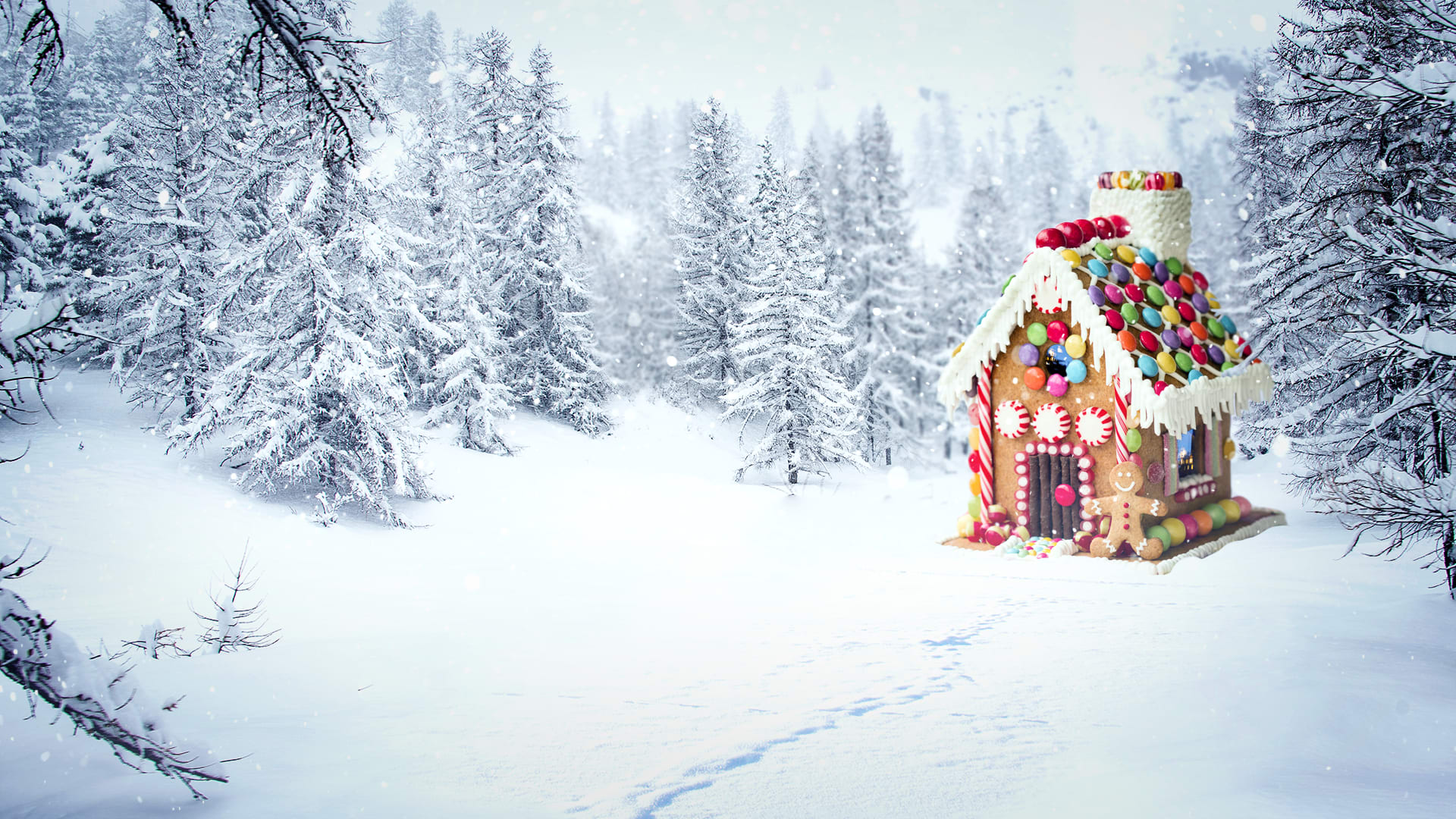 Could you build a real house out of cookies and candy?