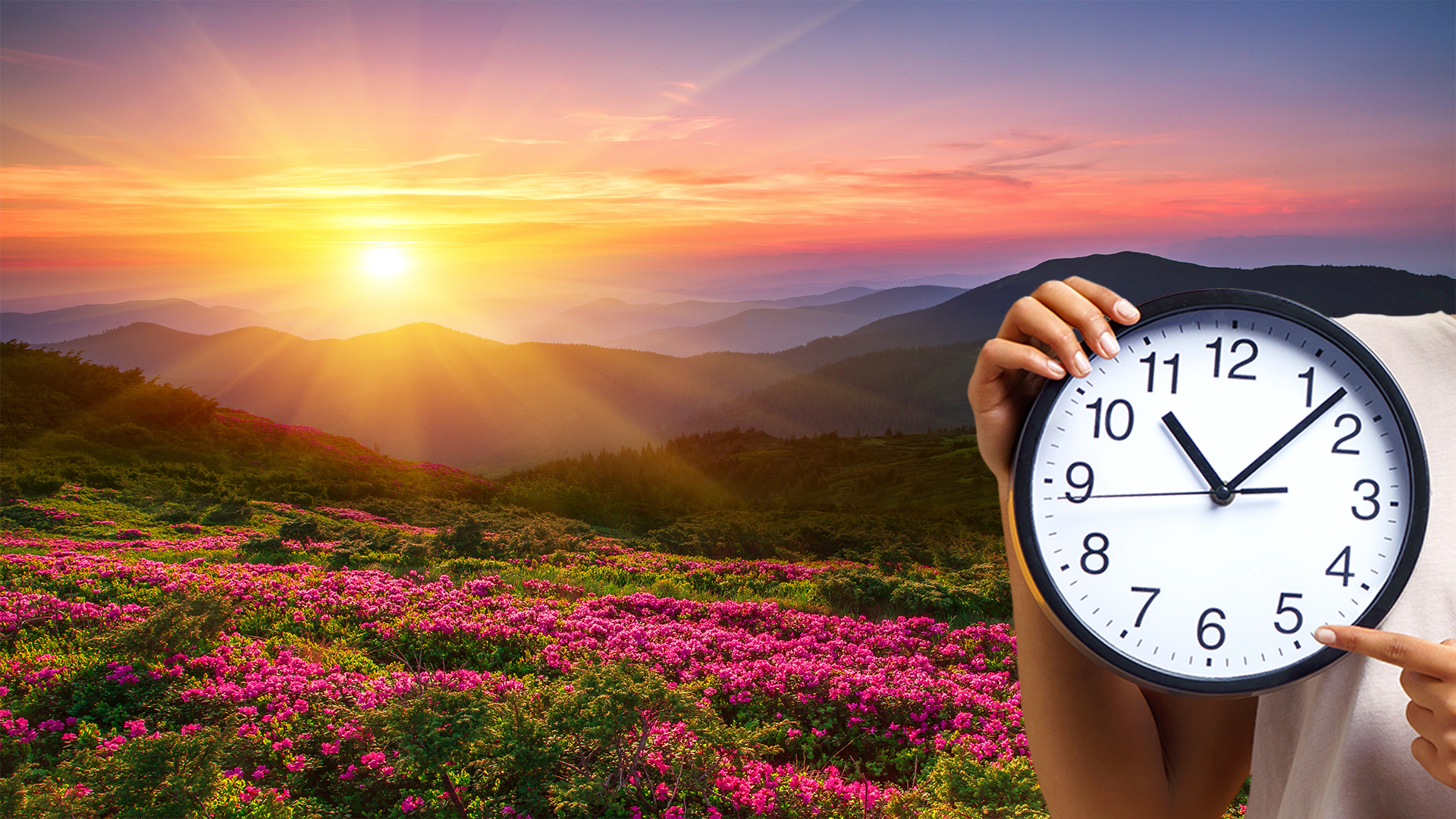 Why do we have daylight saving time?