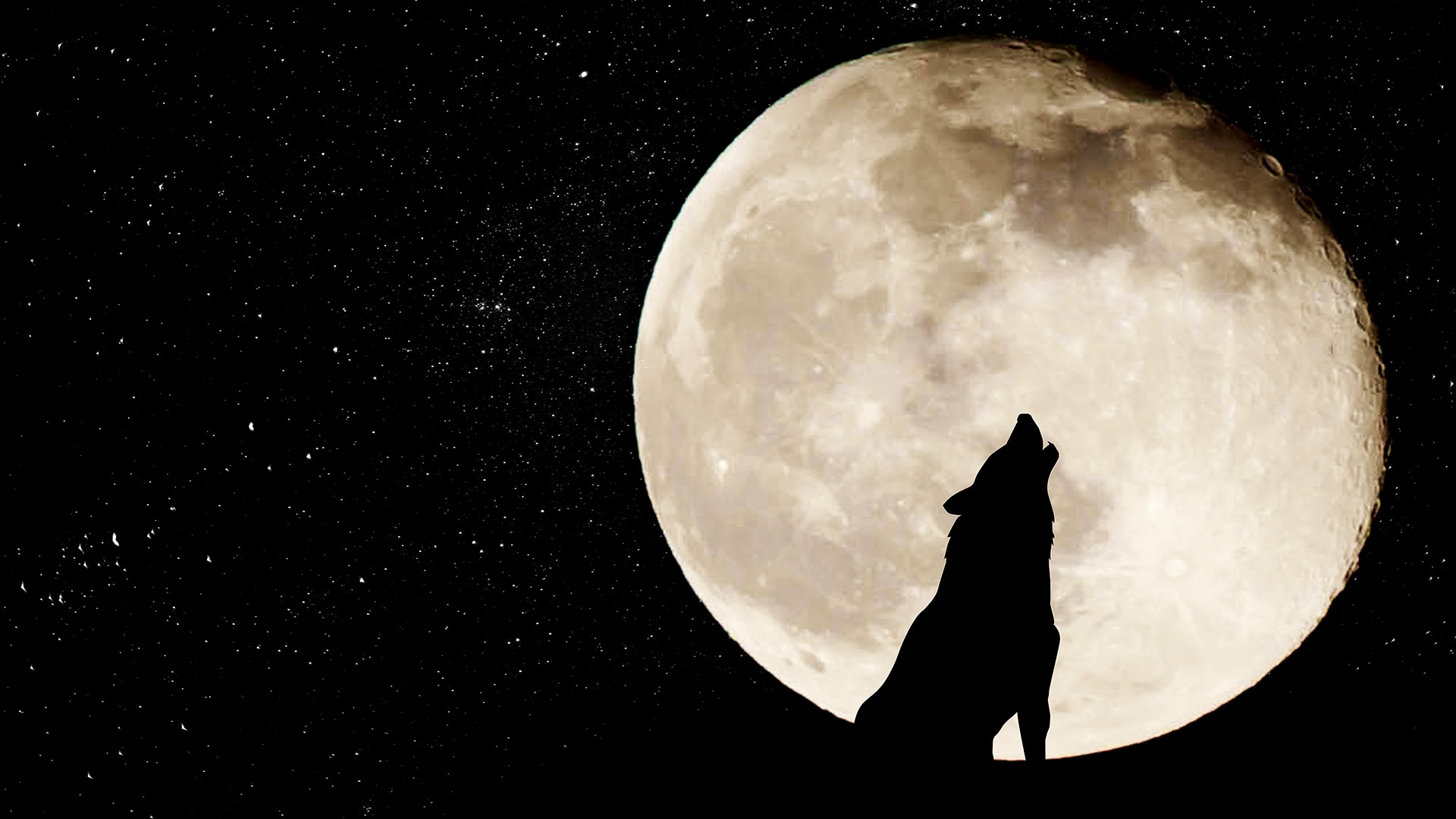 Why do wolves howl at the Moon?