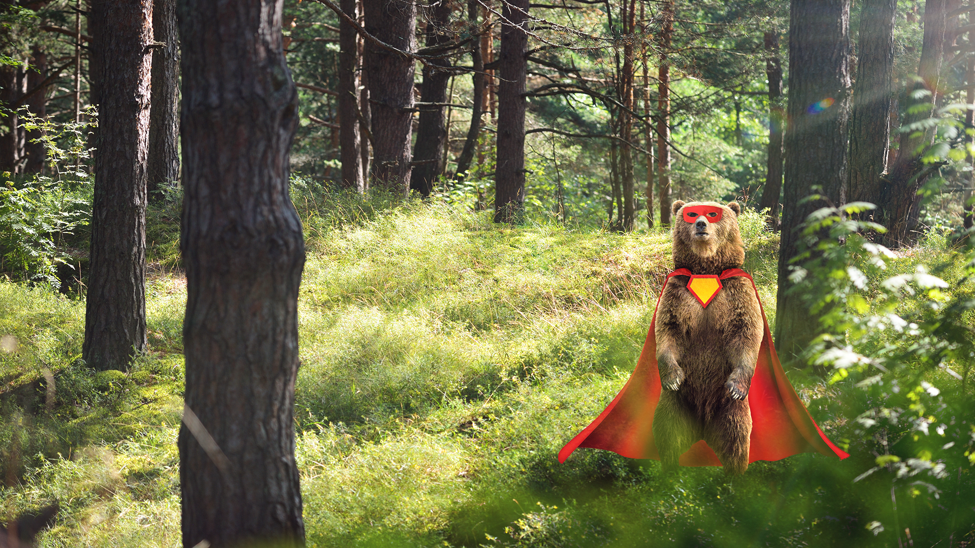 Do wild animals ever dress up in costumes?