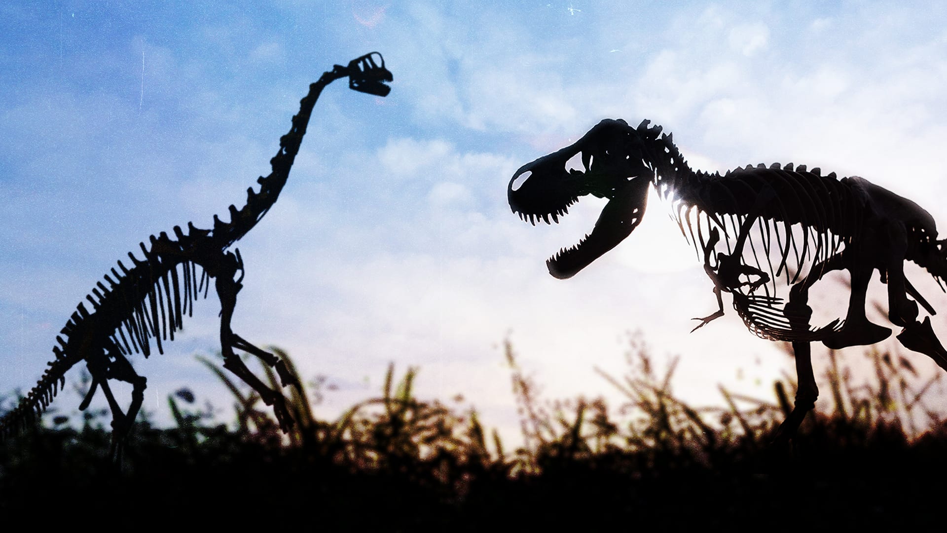 How many extinct animals are there?