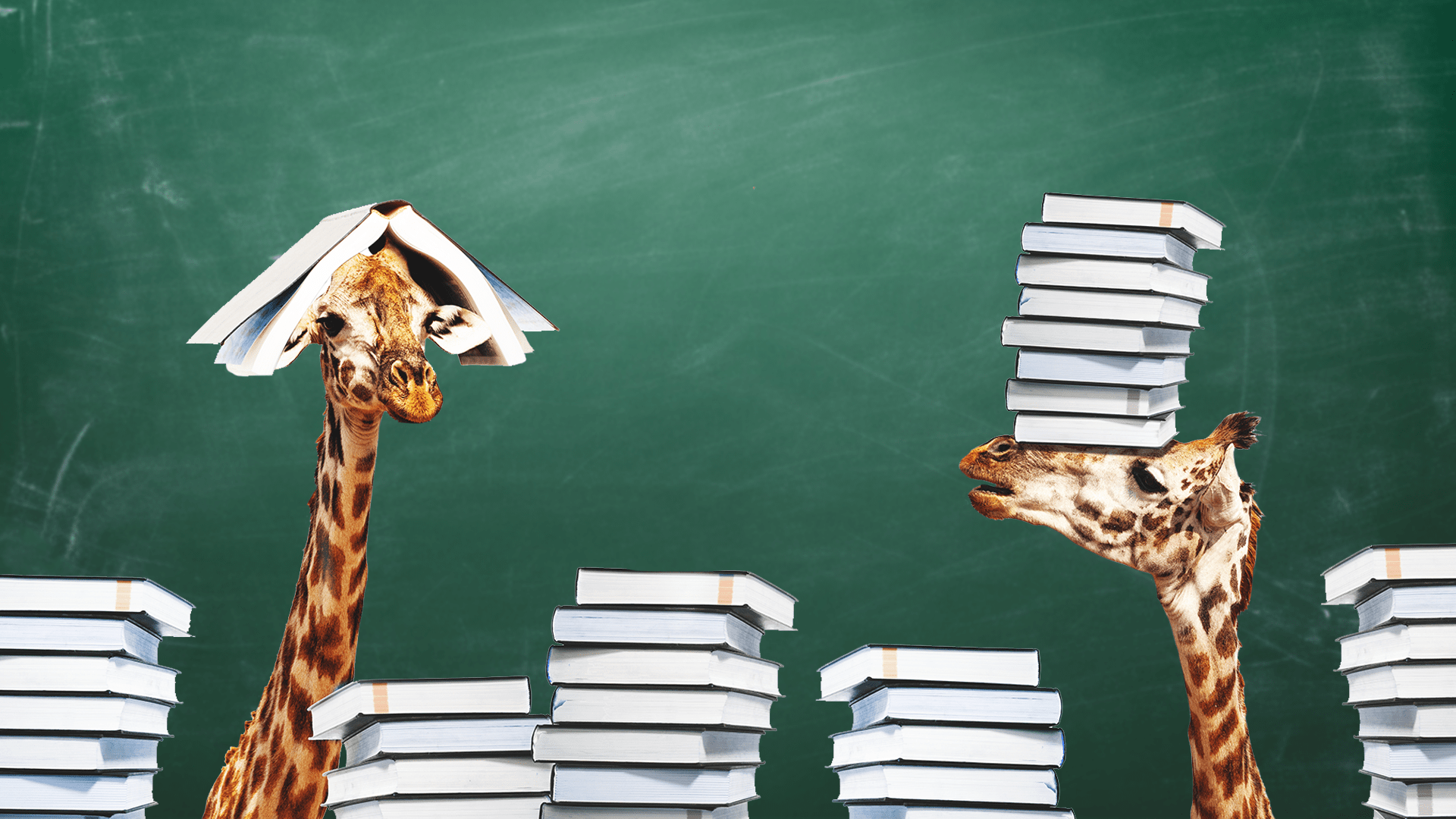 Do wild animals go to school?
