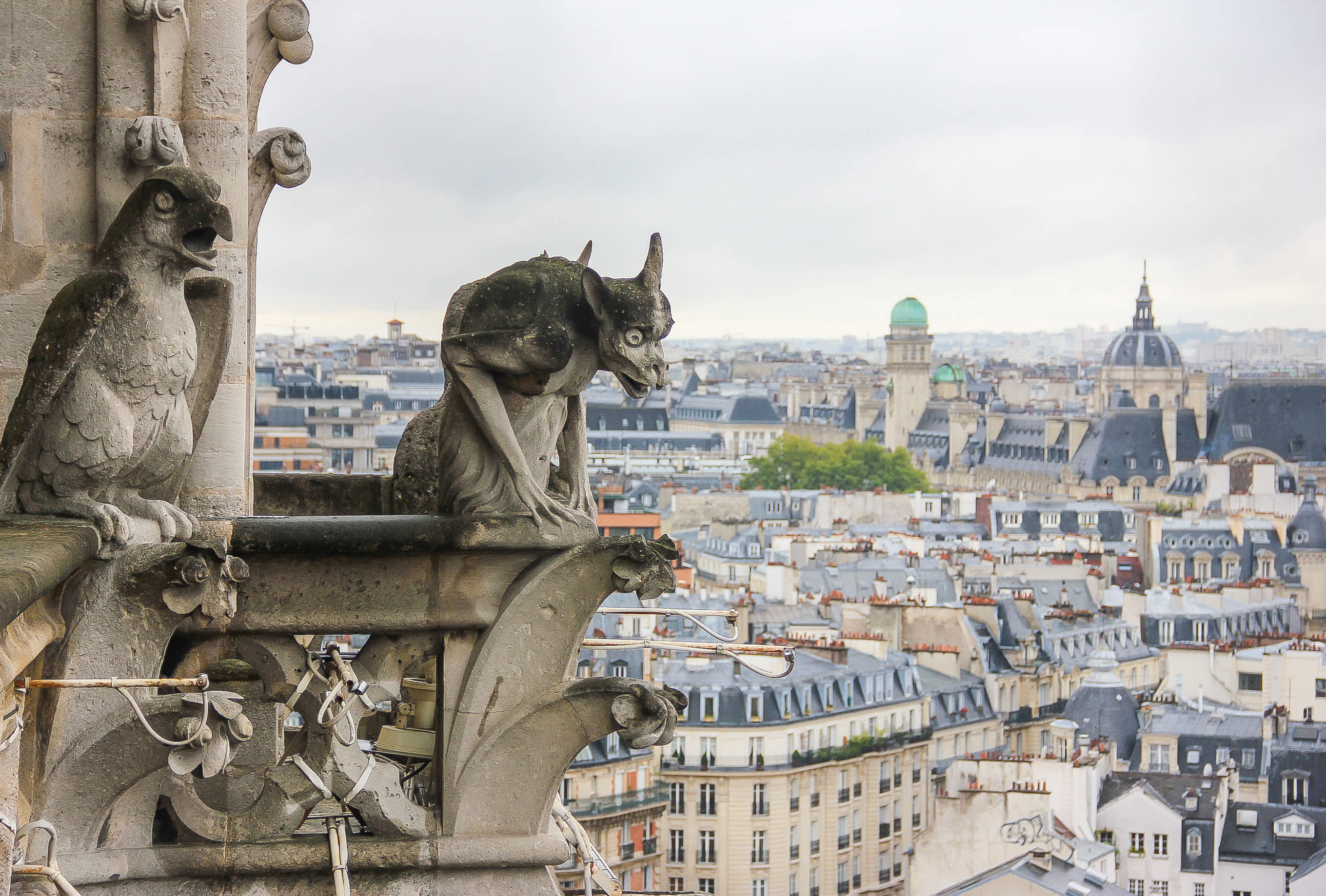 Disappearing Gargoyles