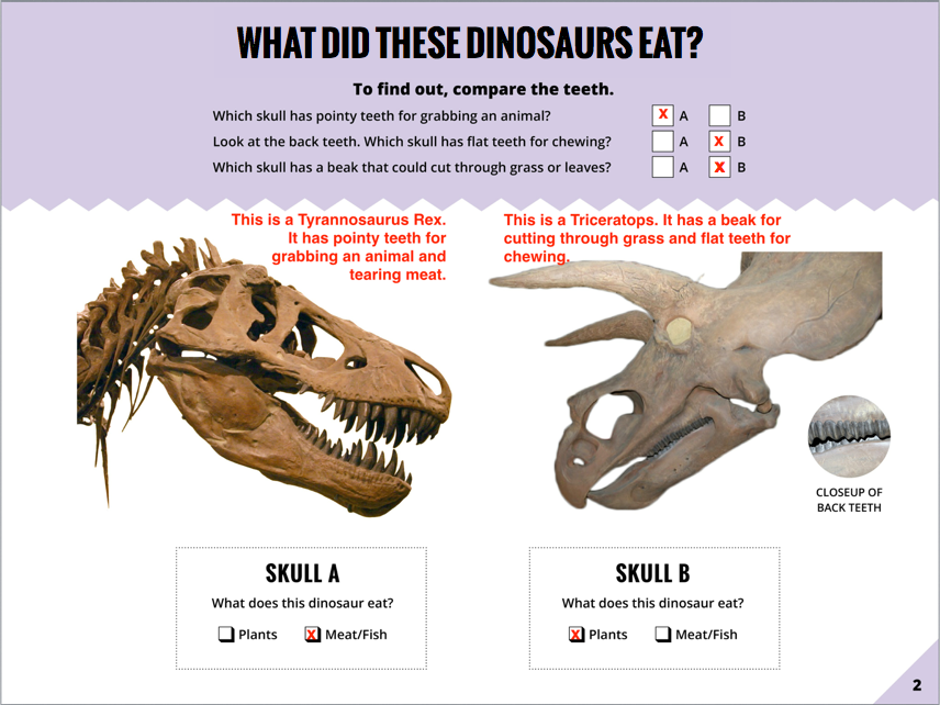 How do we know what dinosaurs looked like?